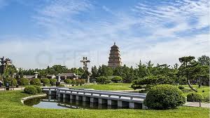 世界杯官网 桐城市政绿化种植土单价
